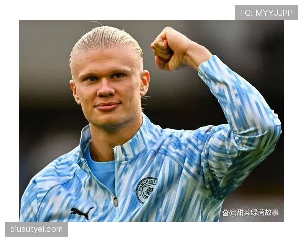 哈兰德与莱万的德甲统治力差距：效率、适应性与战术角色解析