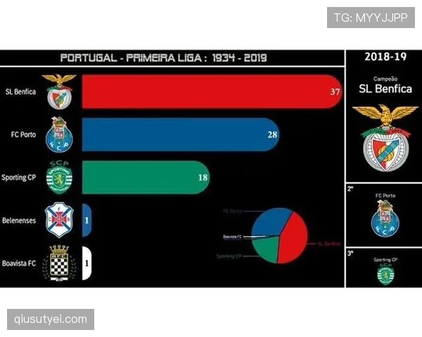 帕利尼亚巅峰期荣誉解析：葡超冠军主力中场的能力与贡献